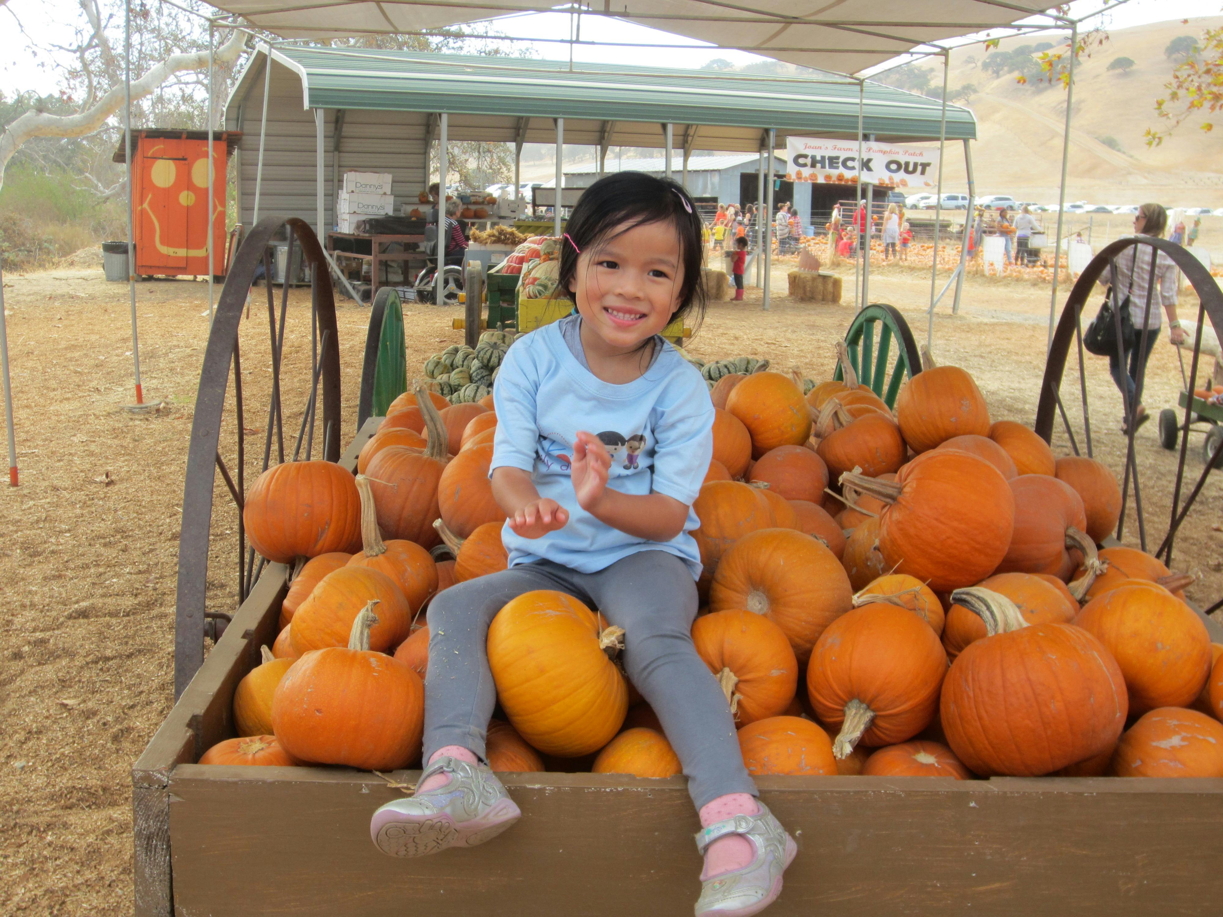 Child sitting on a wagon full of pumpkins