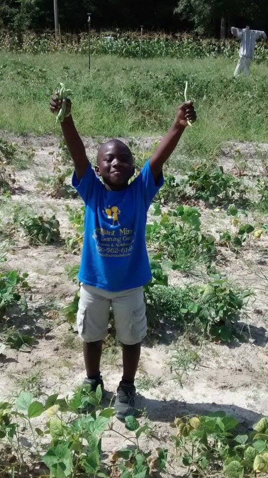 Child holding up green beans in a garden
