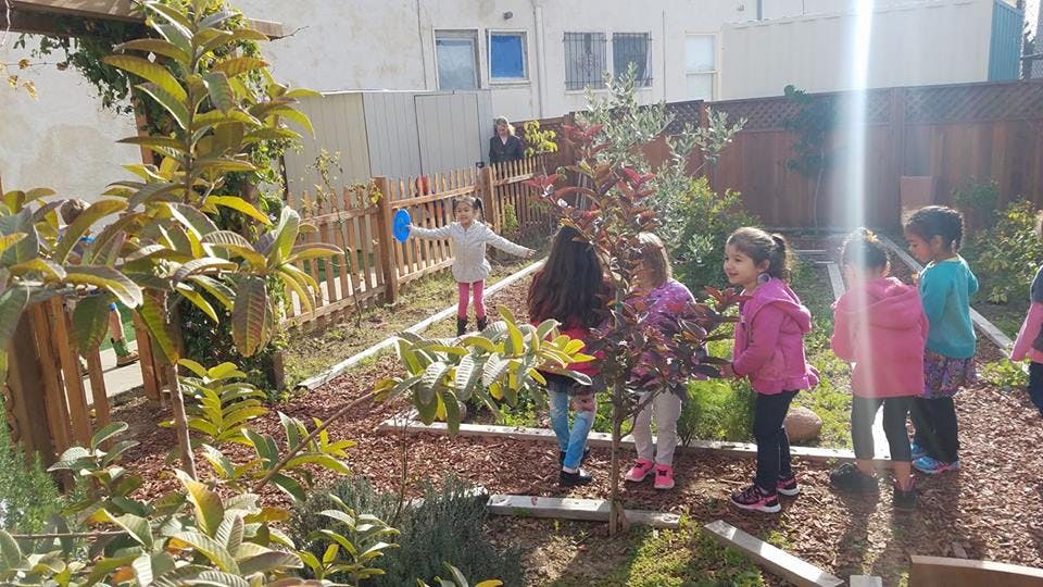 Children standing in a garden