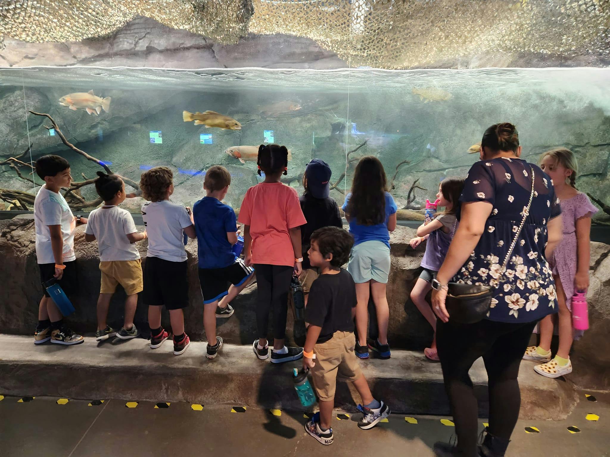 Children and adults looking into a large aquarium