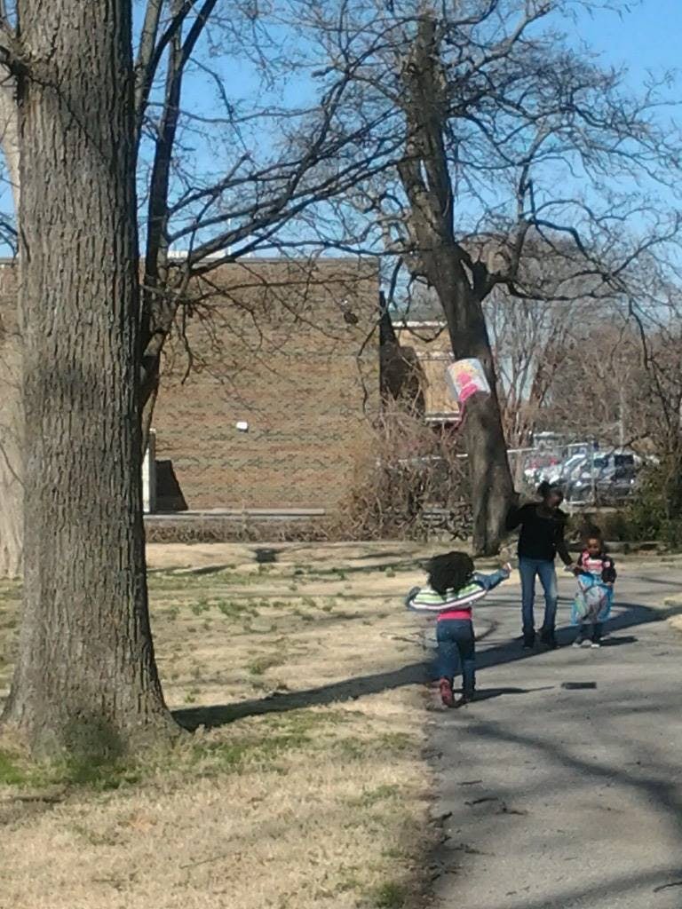 Person and two children walking on a paved path