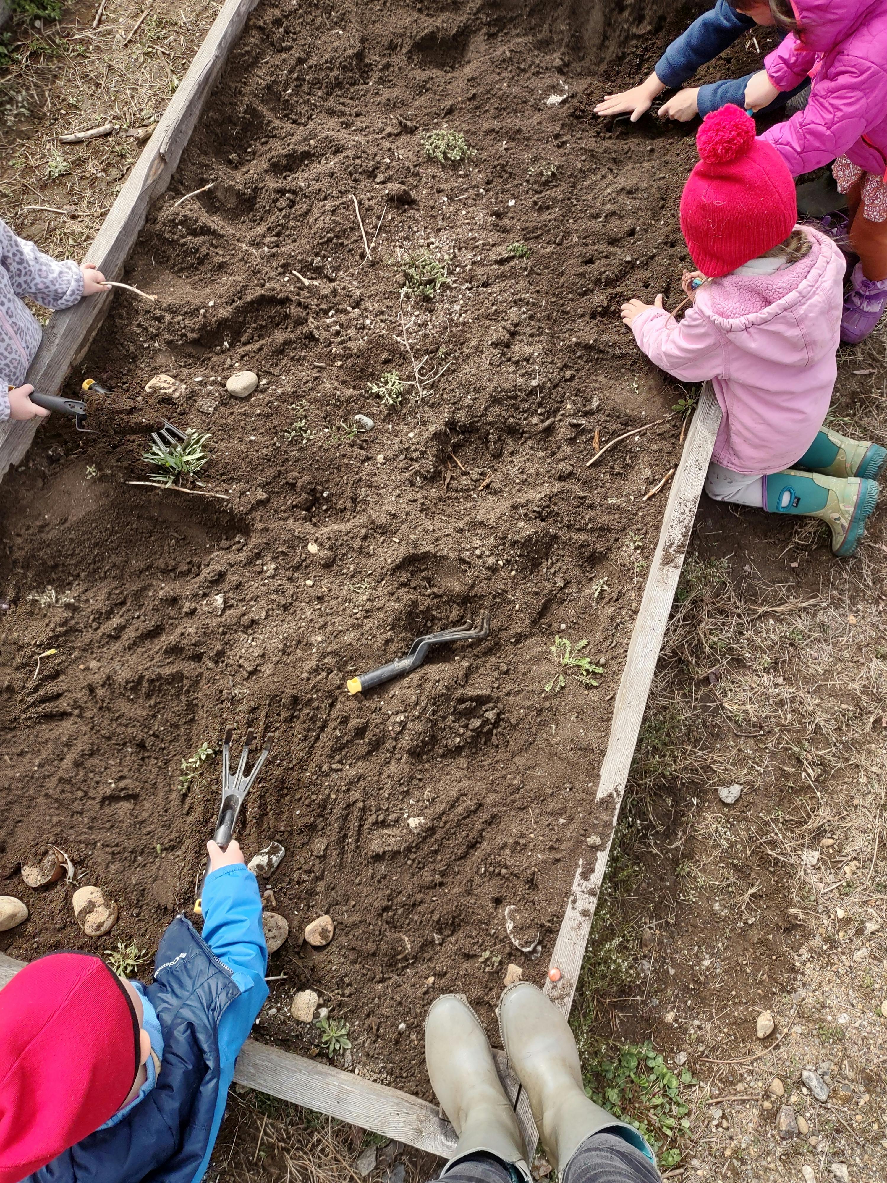 Children planting in a garden bed