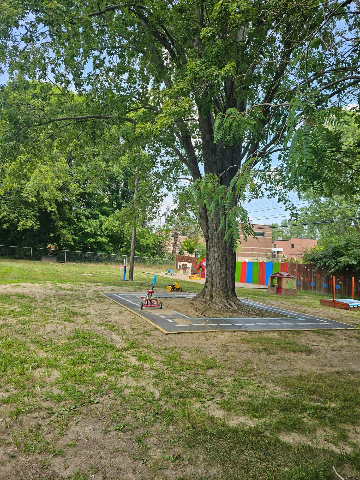 A tricycle parked on a small play road track under a large tree