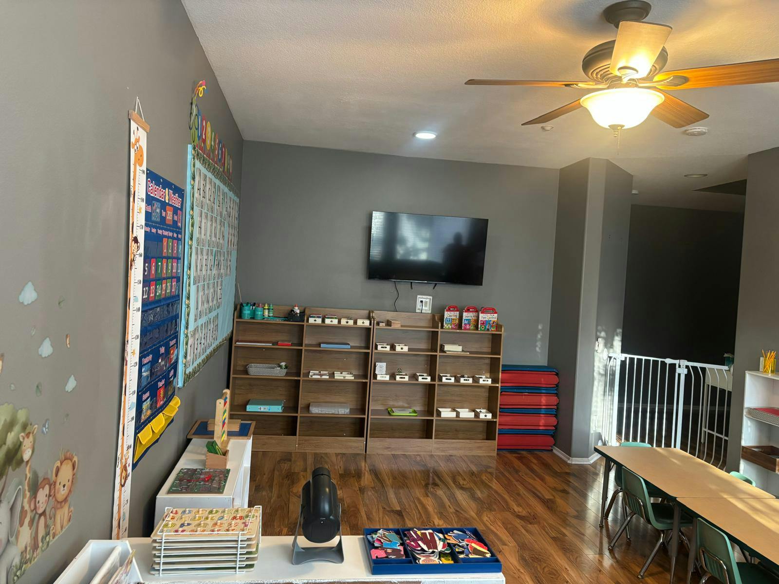 Classroom or play area with educational posters and shelving for learning toys