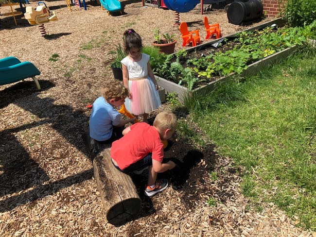 Three children playing in a garden area with wood chips