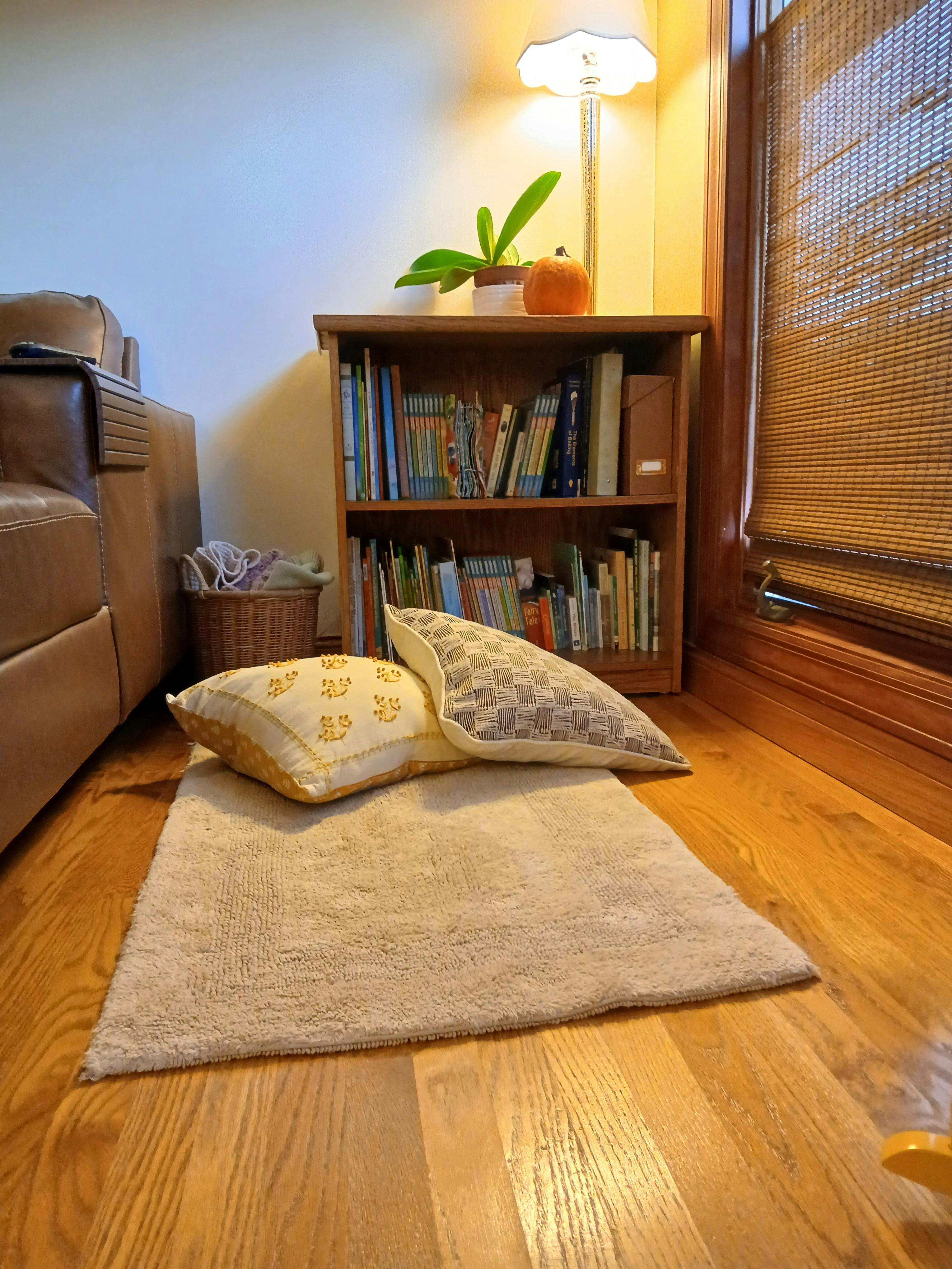Bookshelf with decorative pillows on a rug in a living space