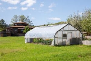 Greenhouse in a grassy field with a building in the background