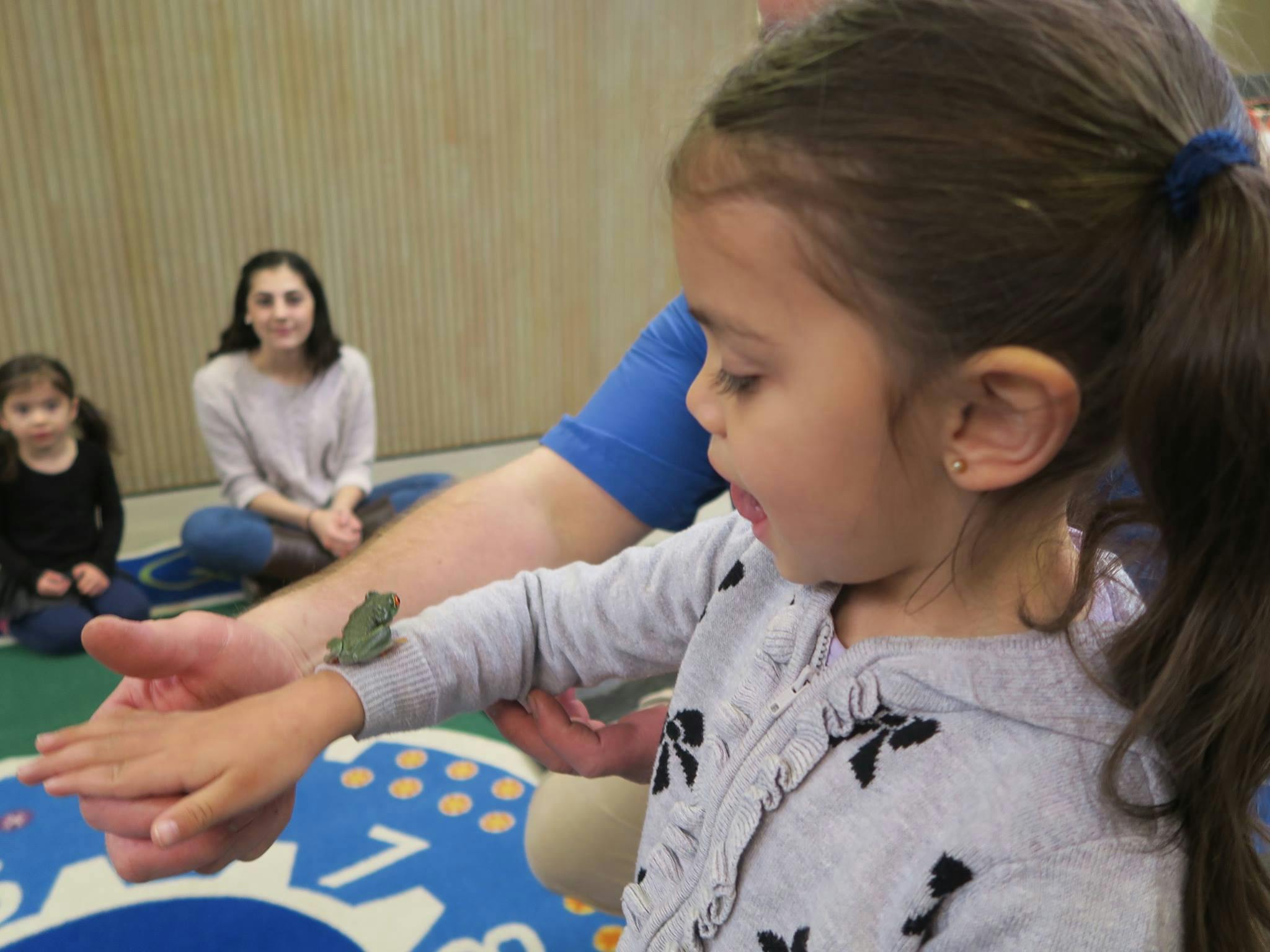 Child looking at a frog on a person's arm