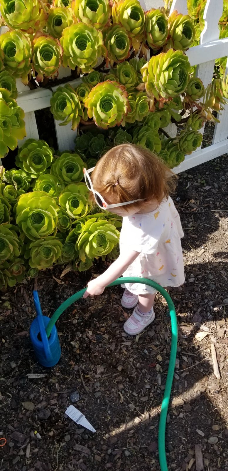 Child in sunglasses watering plants with a hose