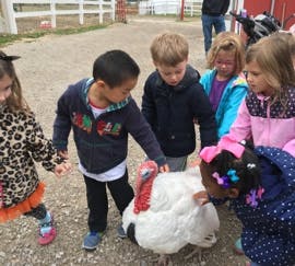 Children gathered around a turkey