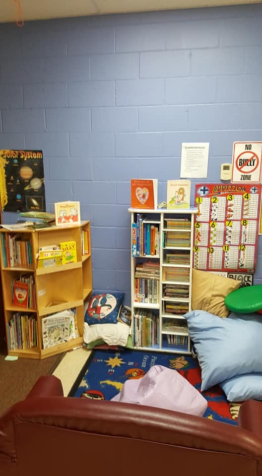 Bookshelves with books, pillows, and a rug in a room