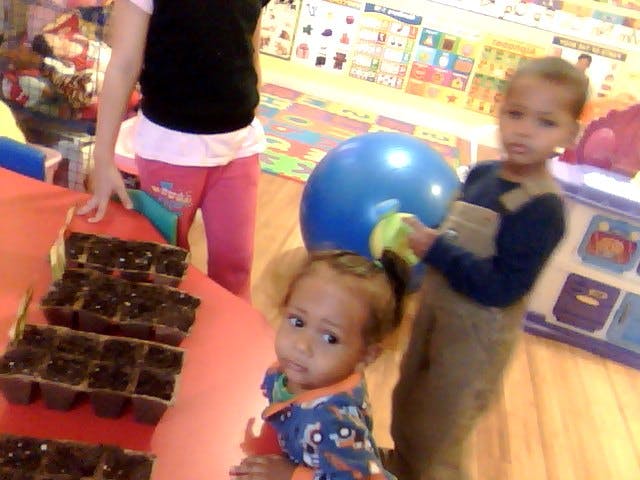 Child watering plants in seed trays, another child looking at camera