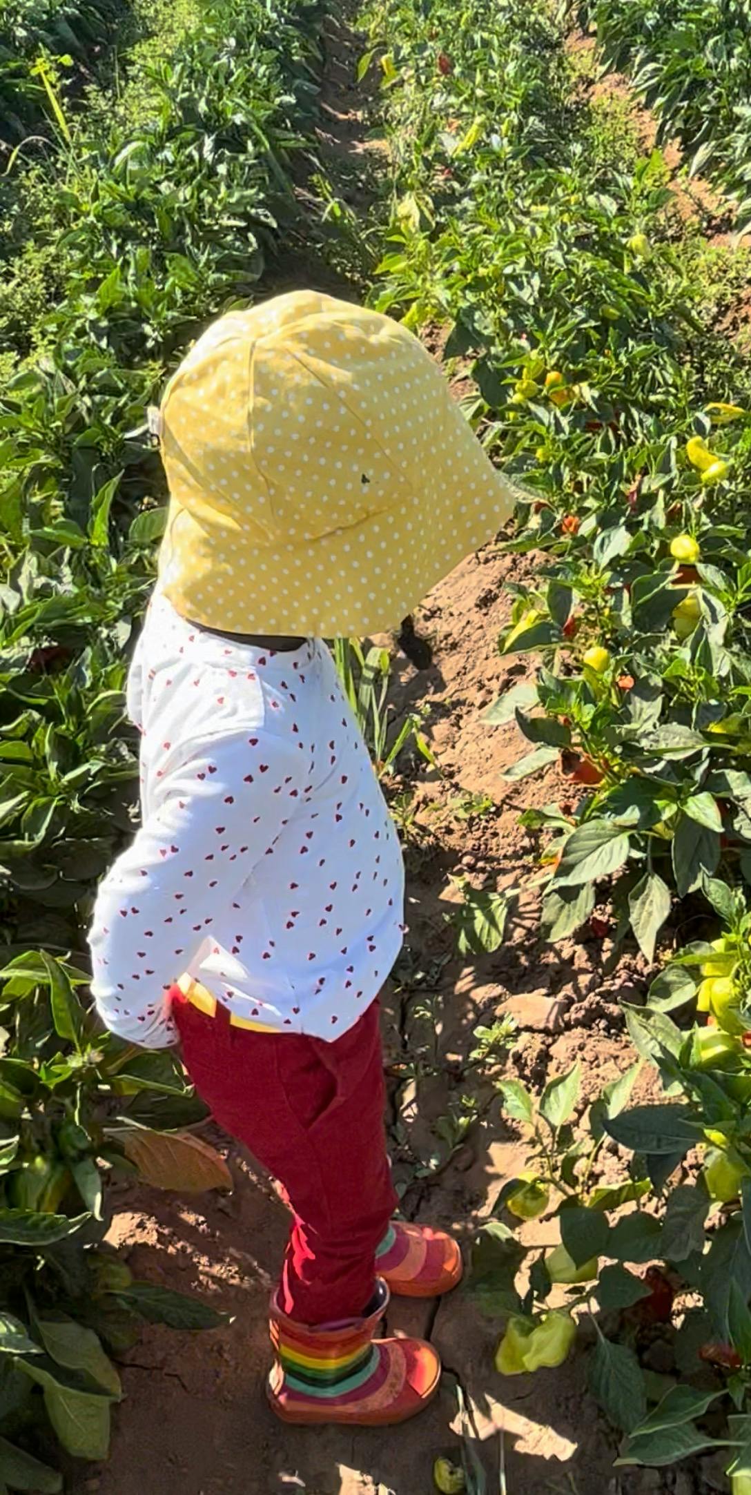 Child in a yellow hat and red pants standing in a garden