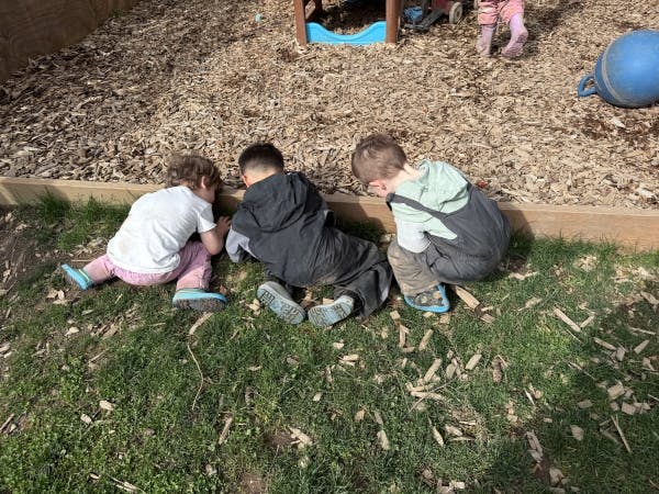 Three children playing on grass next to wood chips