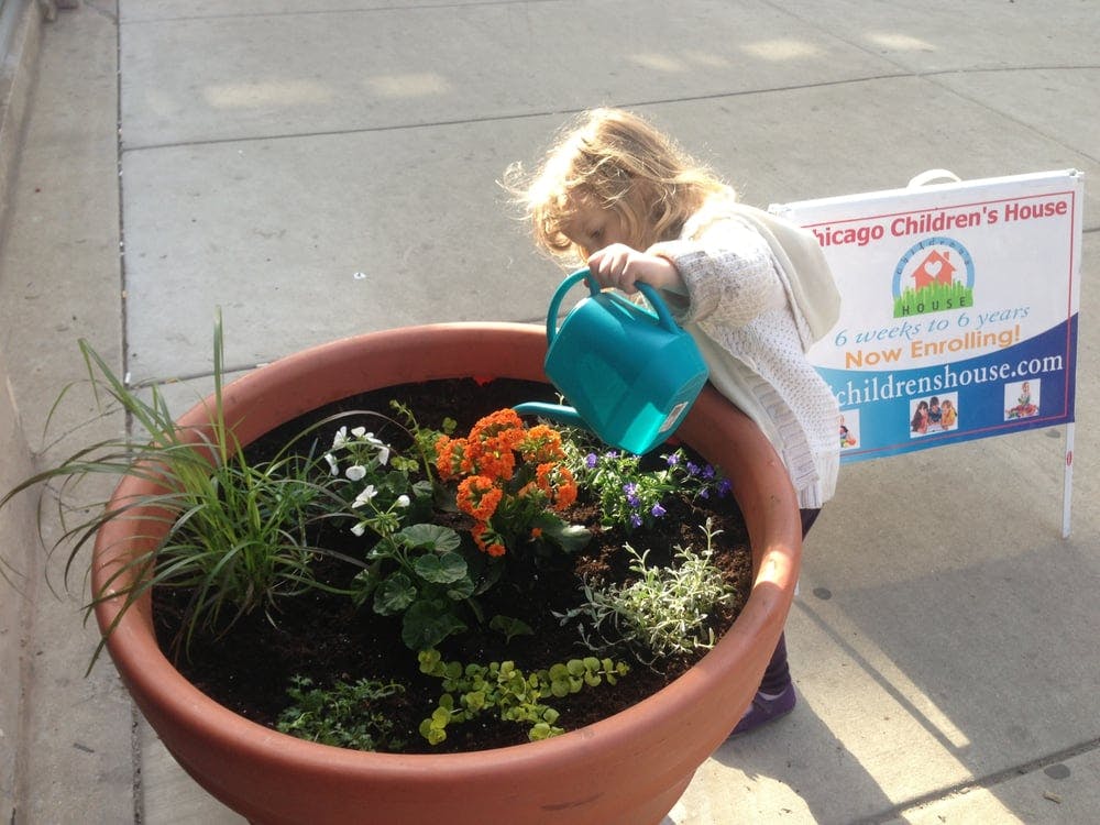 Child watering plants in a large planter