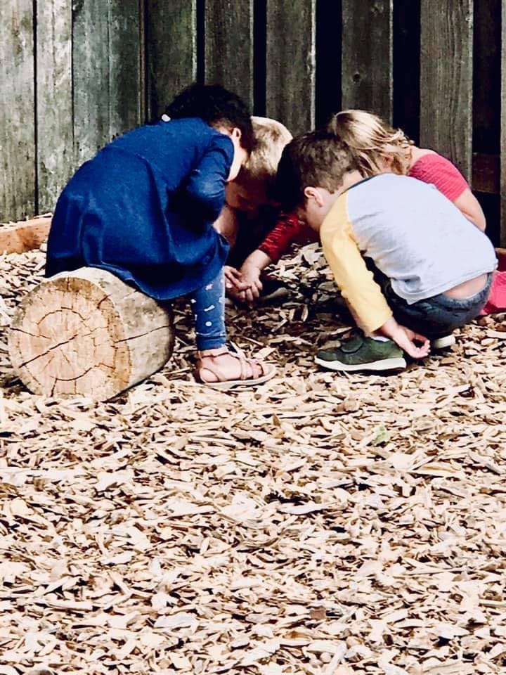 Children gathered around, looking at something on the ground