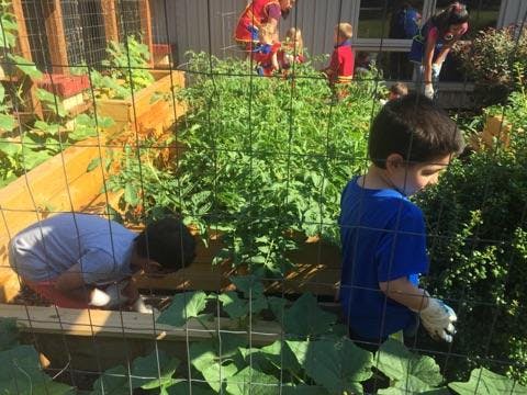 Early Steps Bilingual Preschool (Vienna) Preschool in Vienna, VA Winnie