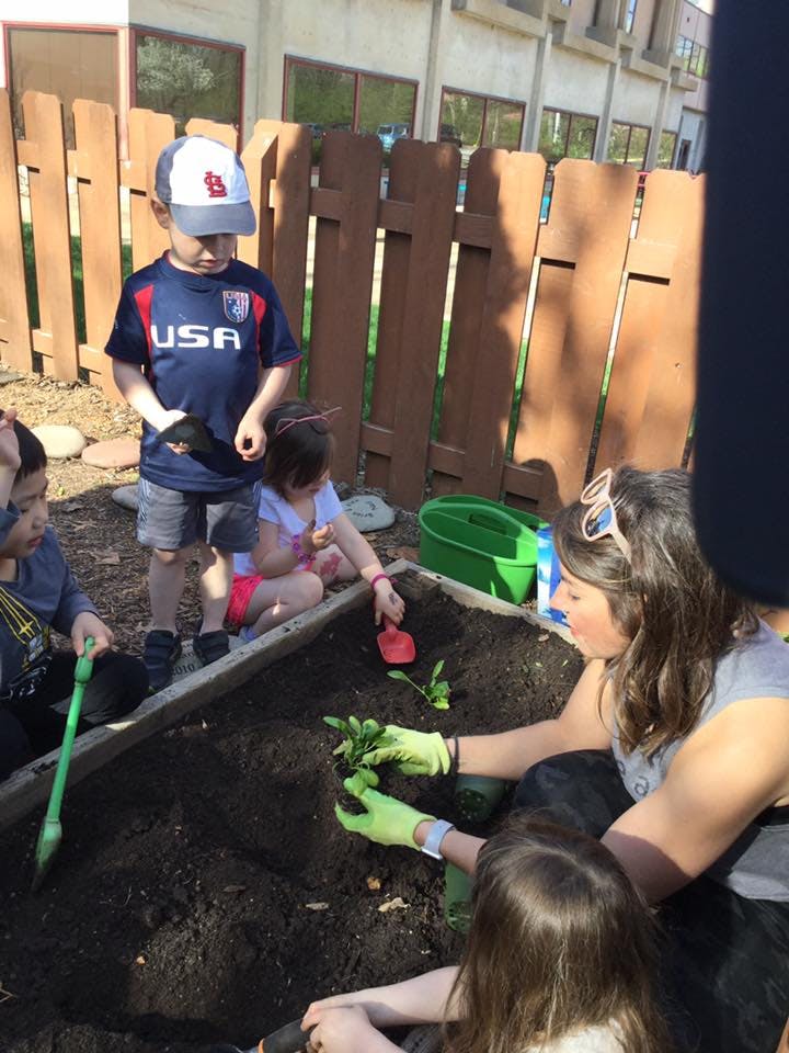 Adult and children planting in a garden bed