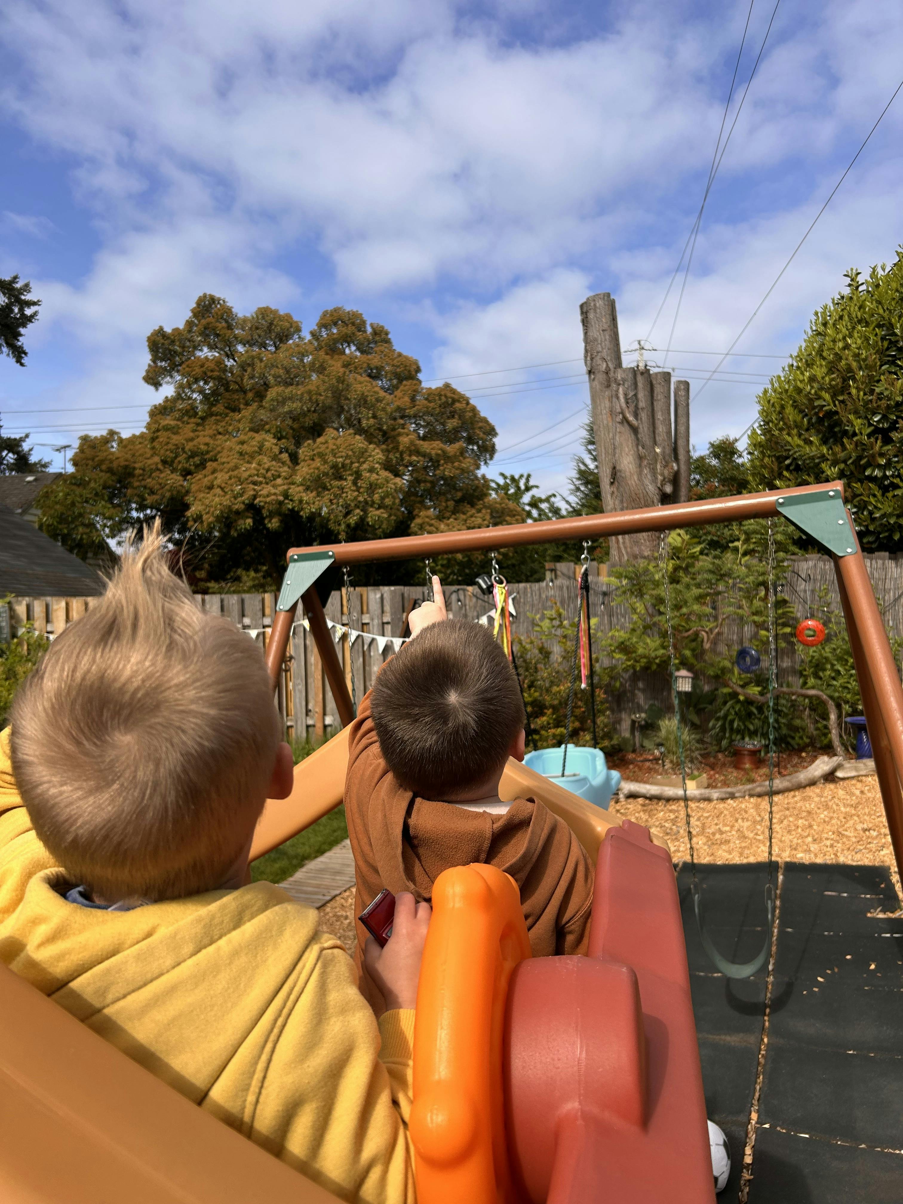 Two children on a backyard playset pointing toward trees