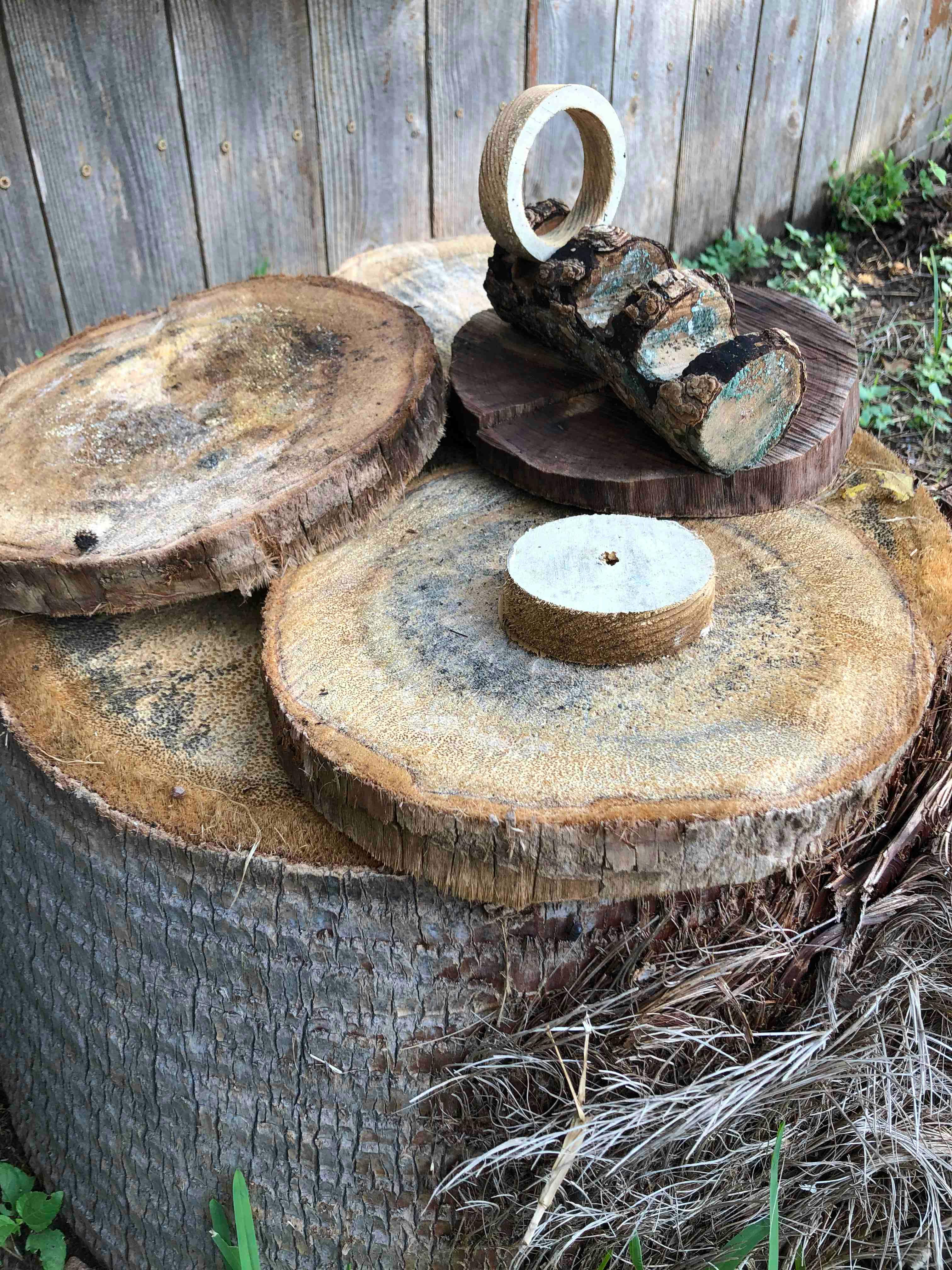 Various wood slices and a small log with a wooden ring on top