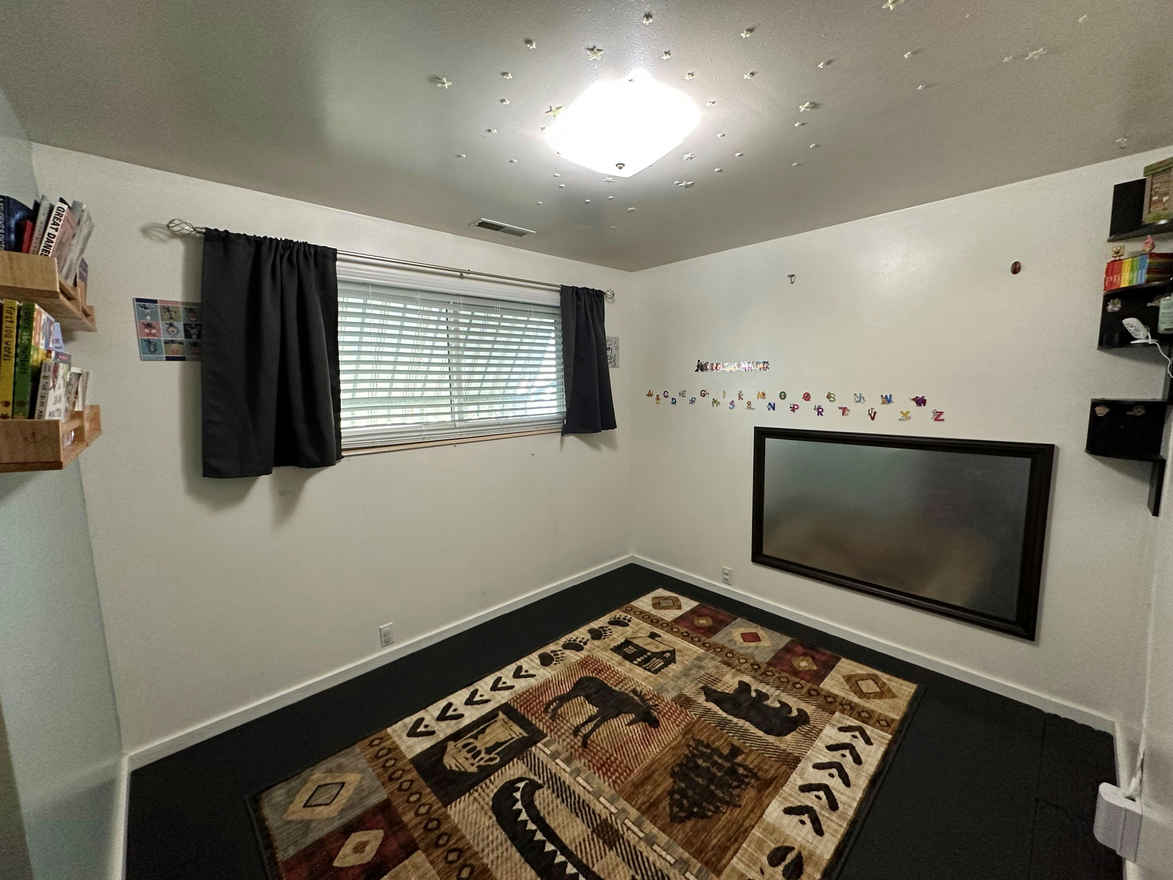 Room with a window, a patterned rug, and a large screen on the wall