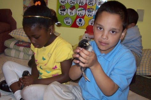 Two children holding small birds