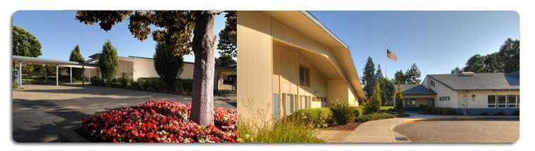 Exterior view of a building with a tree and red flowers in the foreground