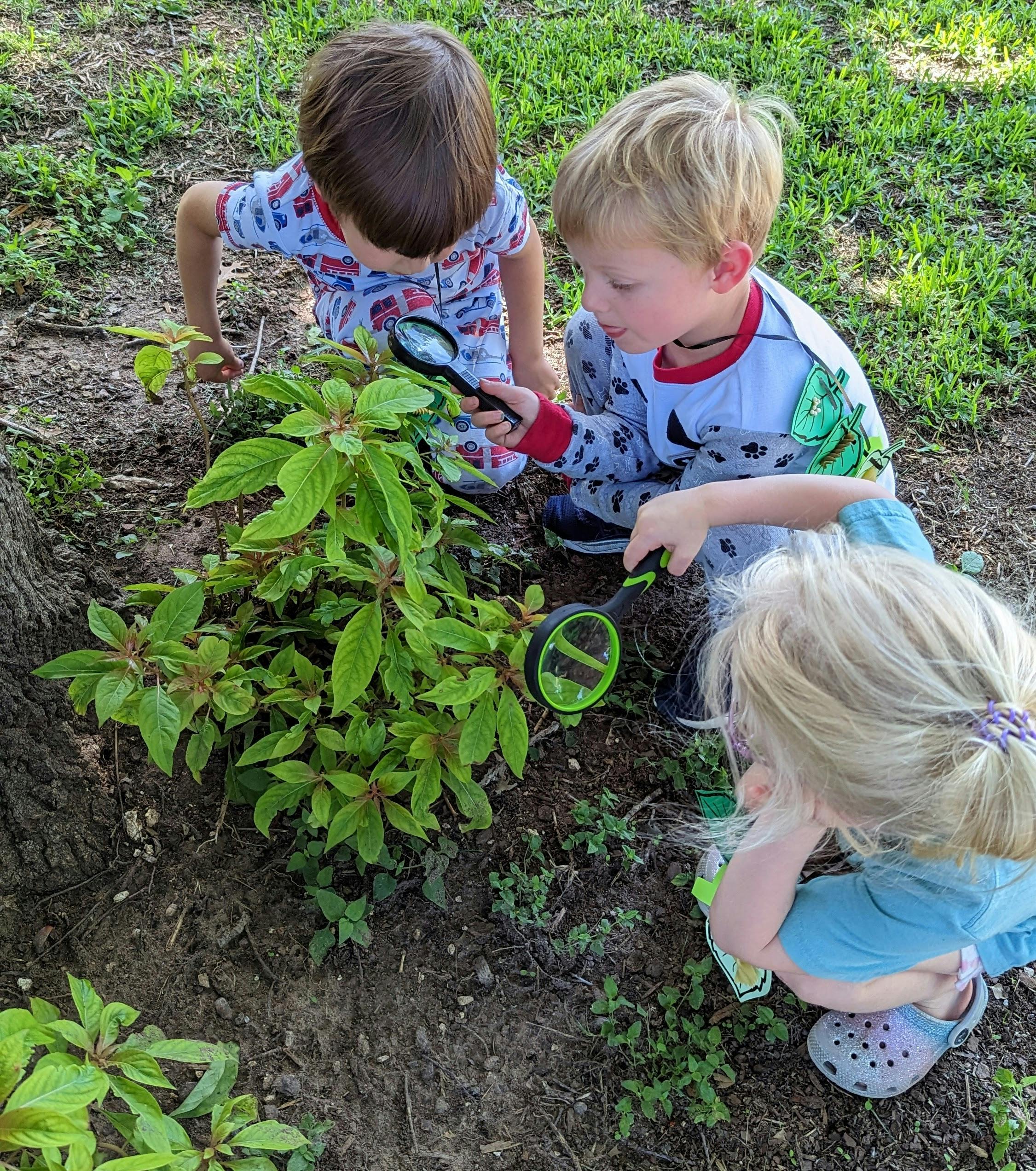 Three children examining plants with magnifying glasses