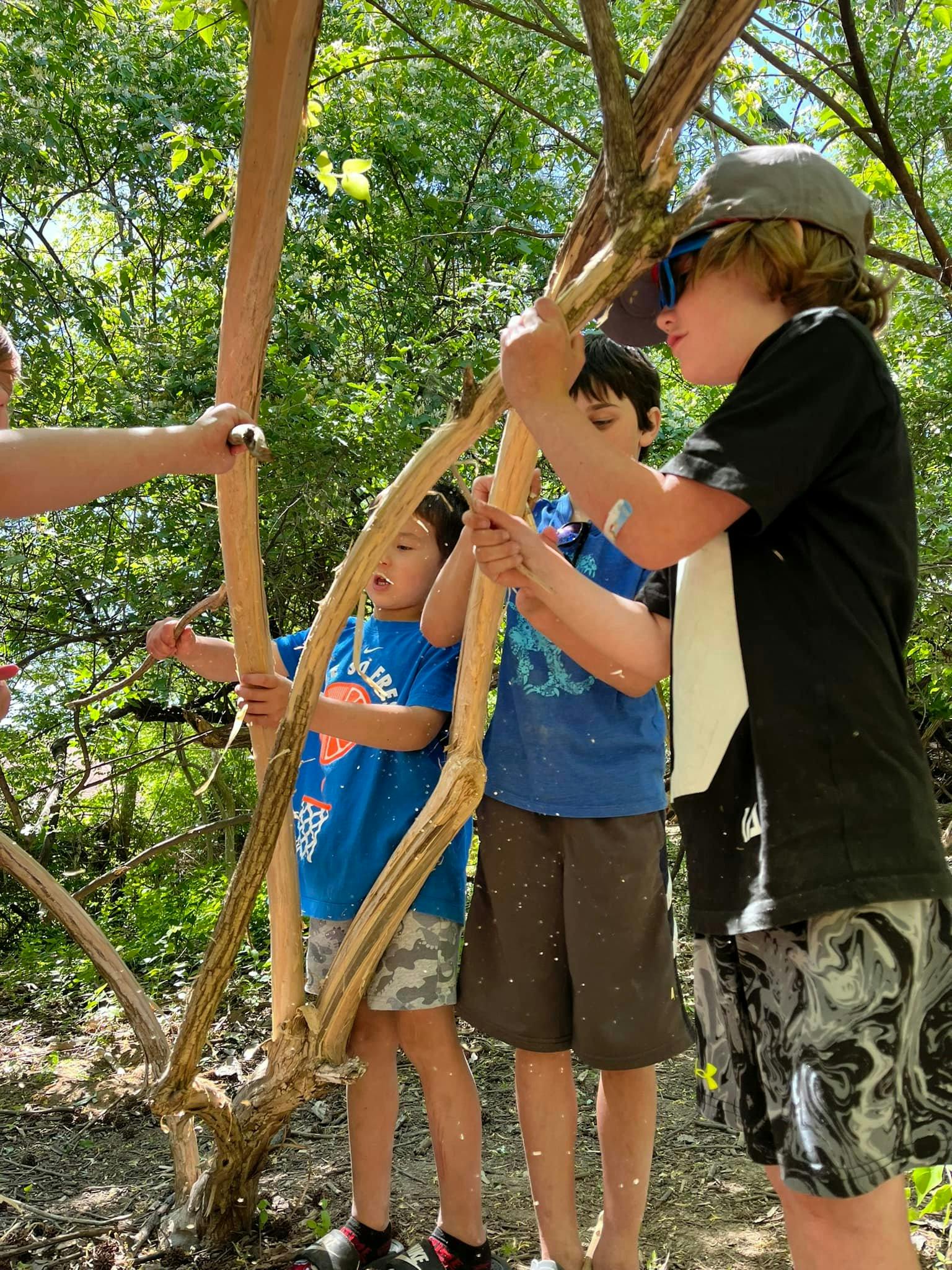 Three children holding large branches in a wooded area
