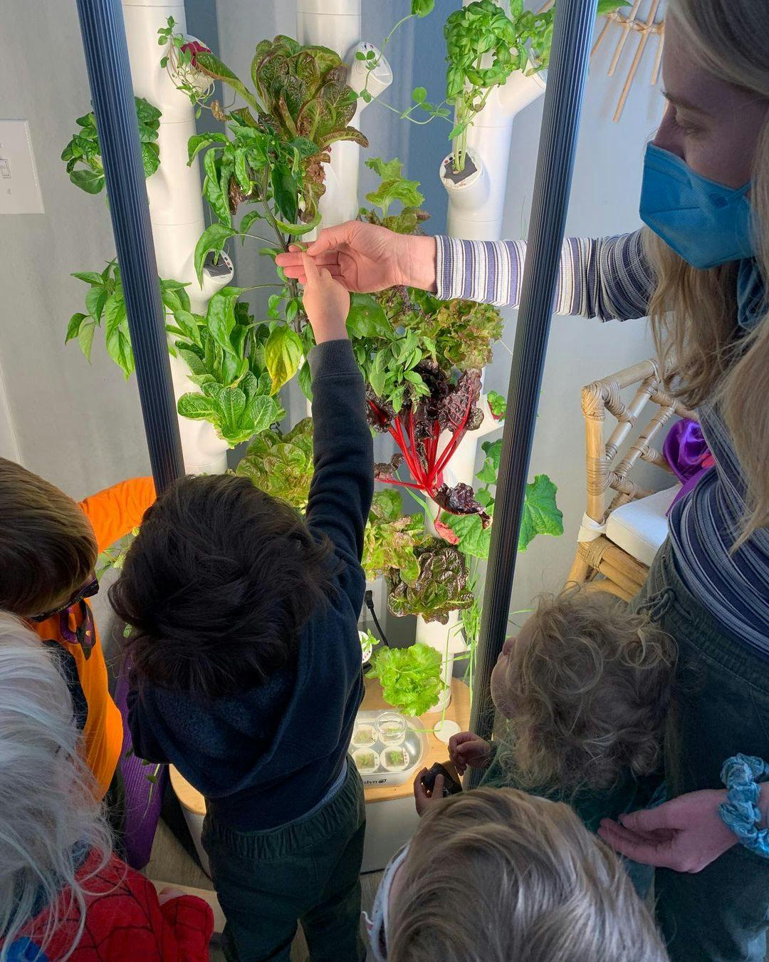 Adult and children interacting with a vertical garden