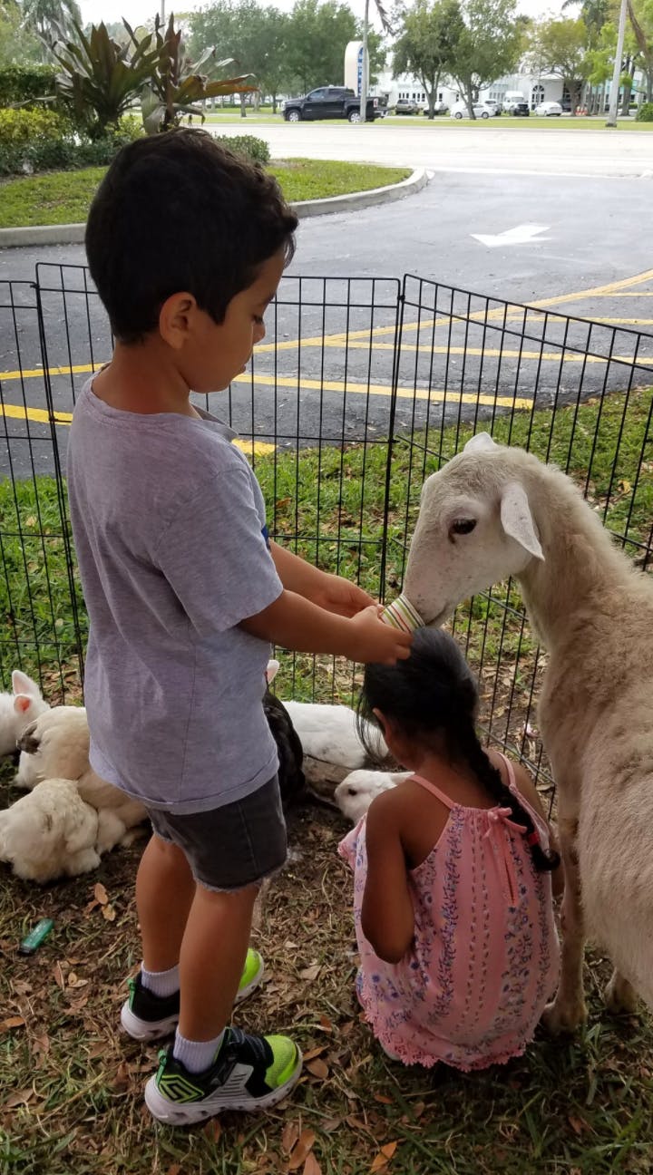 Child feeding a goat from a bottle, another child kneeling nearby