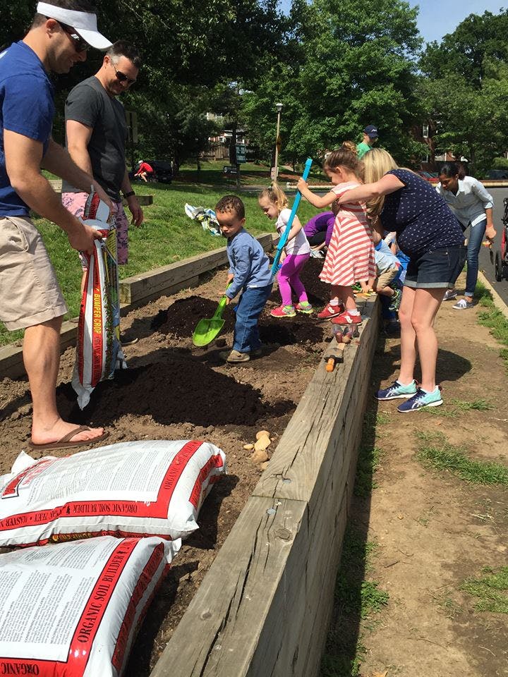 Adults and children planting in a raised garden bed