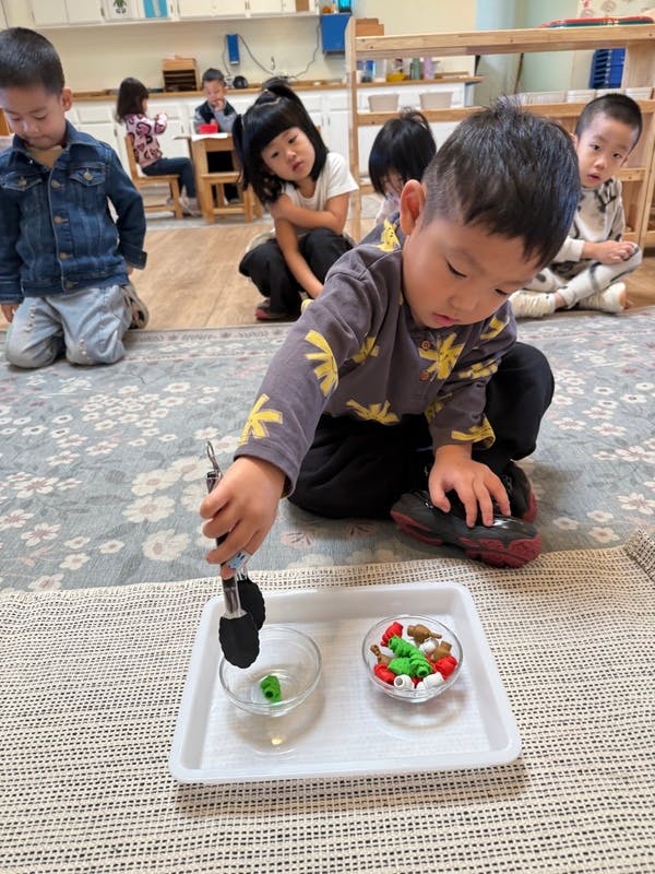 Child using tongs to move small objects from one bowl to another