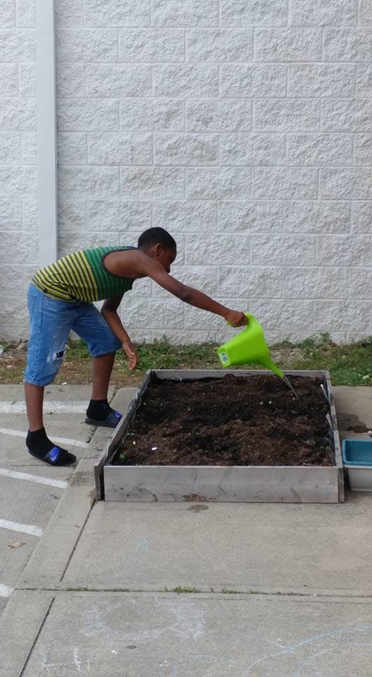 Child watering a garden bed with a green watering can