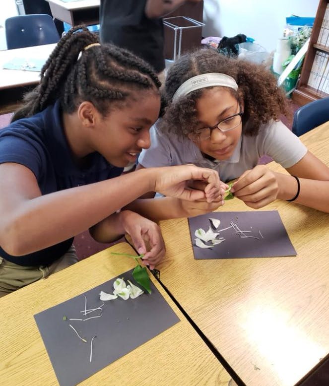 Two children working with plant parts on paper at a table