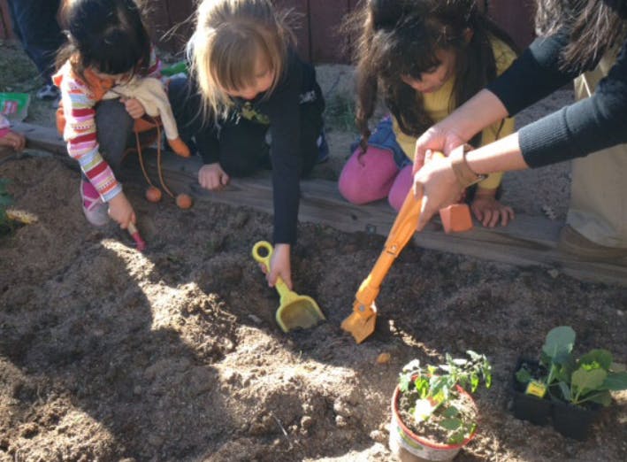 Children and an adult digging in dirt with small shovels