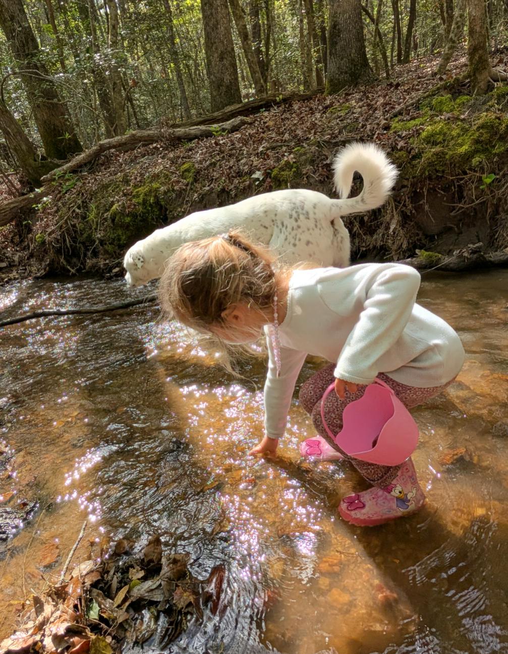 Child in boots playing in a stream with a dog nearby
