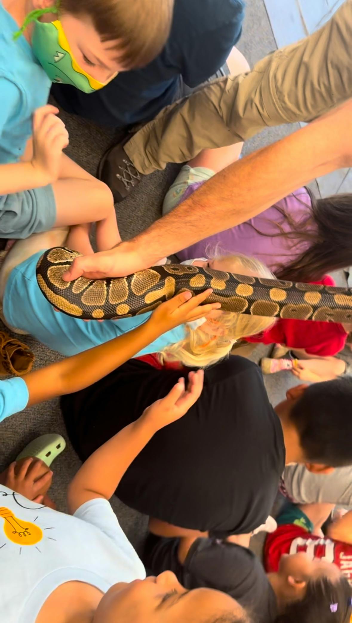 People touching a snake