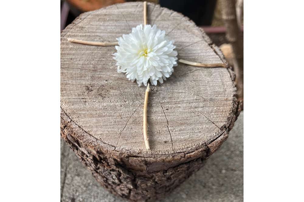 White flower centered on a round wooden log slice with thin twigs