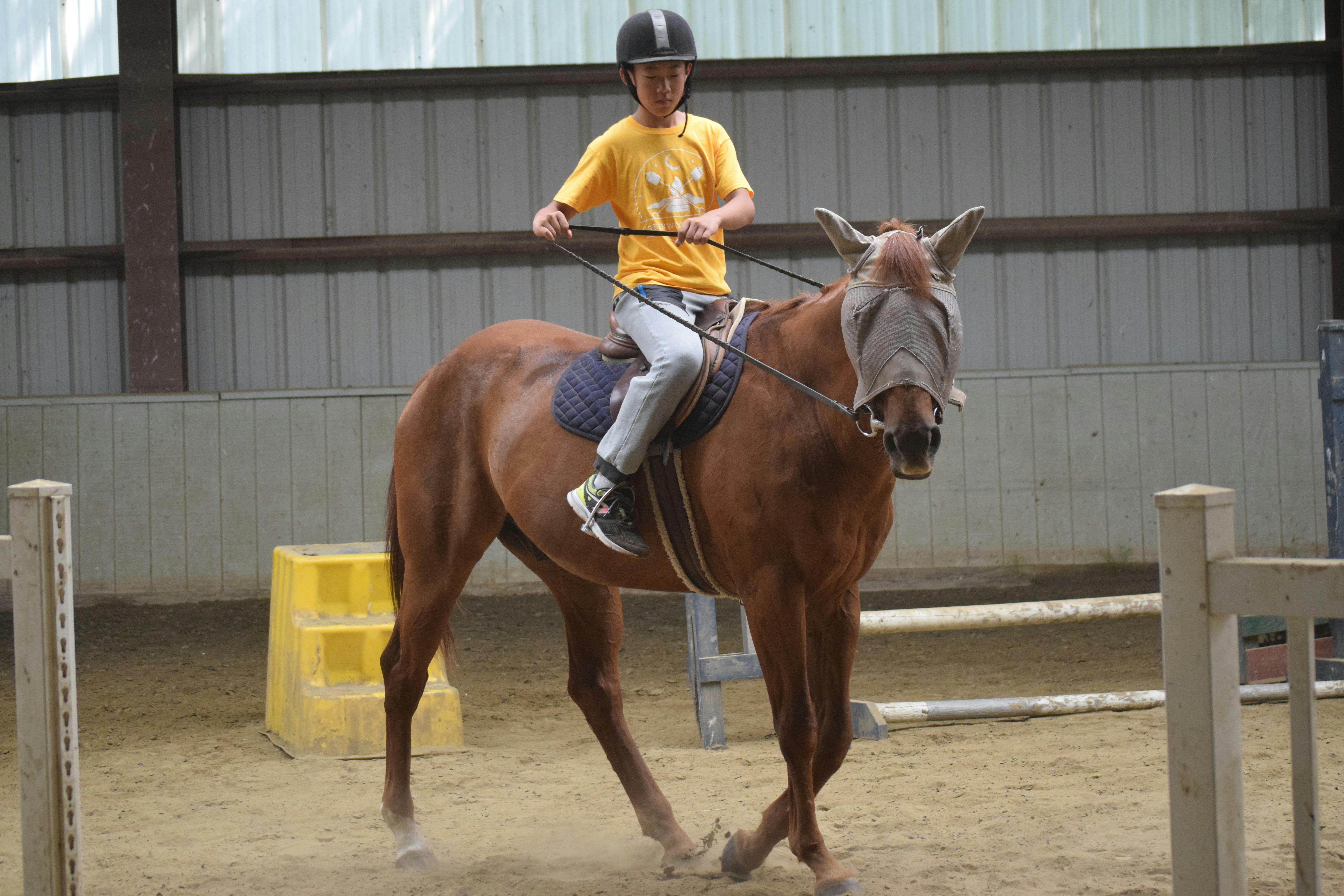 Child in helmet and t-shirt riding a brown horse with a mask over its eyes