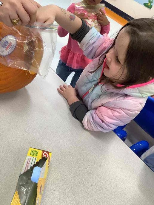 Child reaching for a pumpkin in a plastic bag on a table