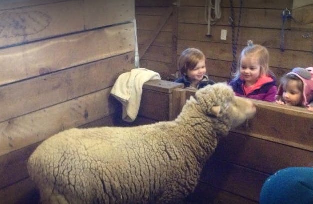 Canterbury Creek Farm School in Ada, MI
