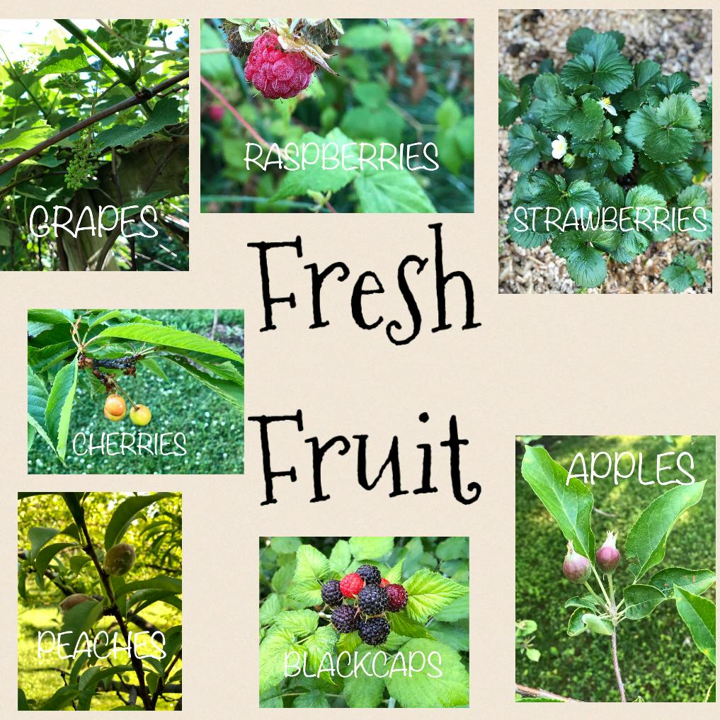 Collage of various fruits including grapes, raspberries, strawberries, cherries, peaches, blackcaps, and apples