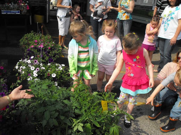 Children looking at plants