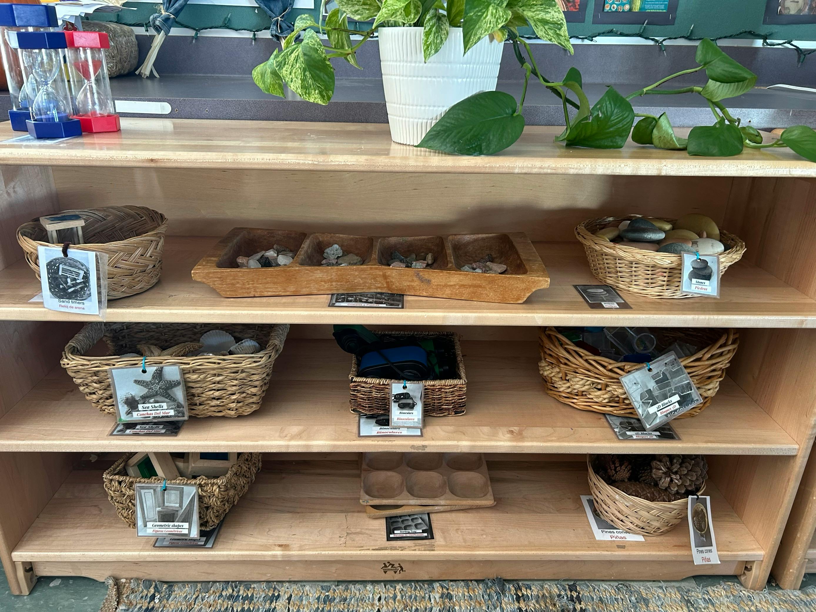 Shelves with baskets and wooden trays containing various natural items