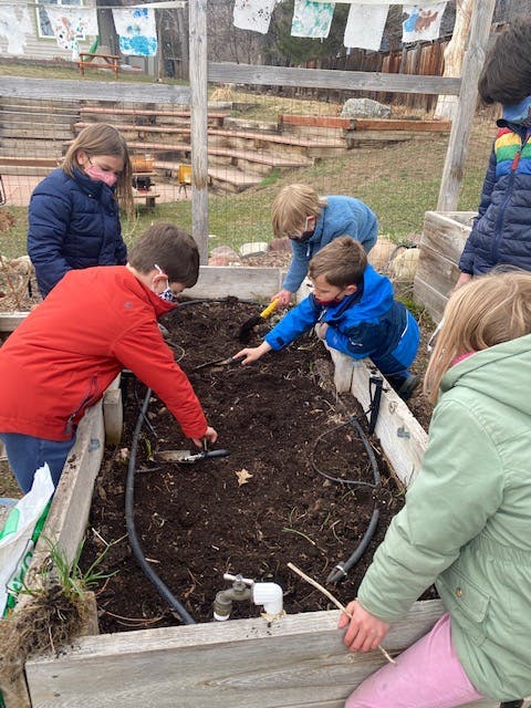 Children digging in a raised garden bed