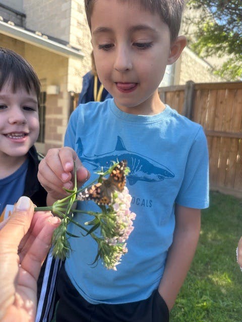 Child holding a flower with a butterfly on it, another child looking on the background