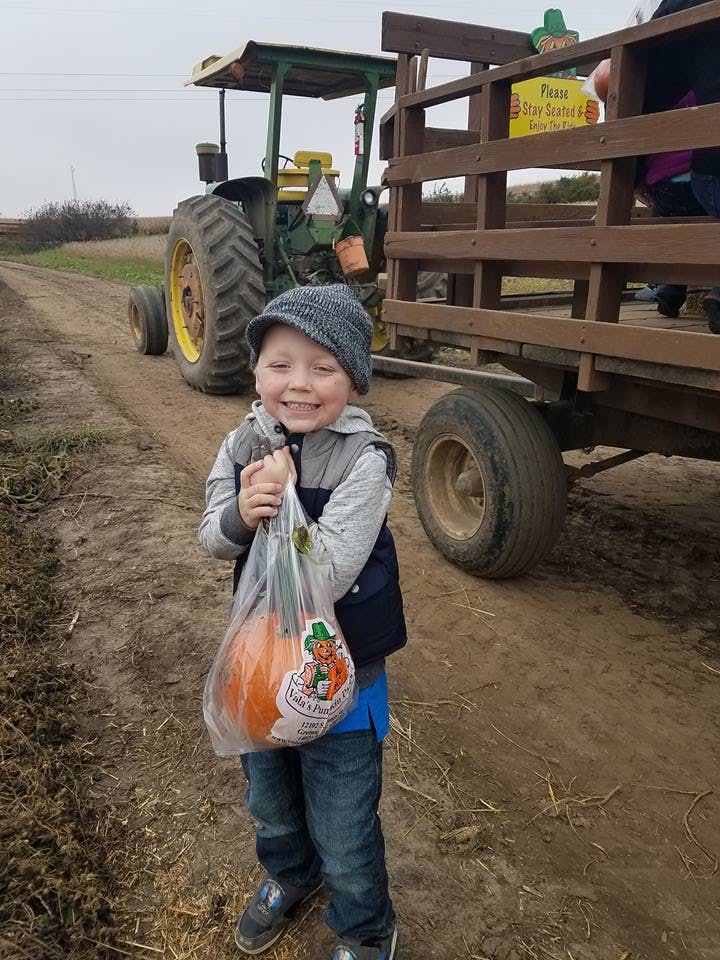 Child holding a pumpkin in a plastic bag, standing in front of a tractor