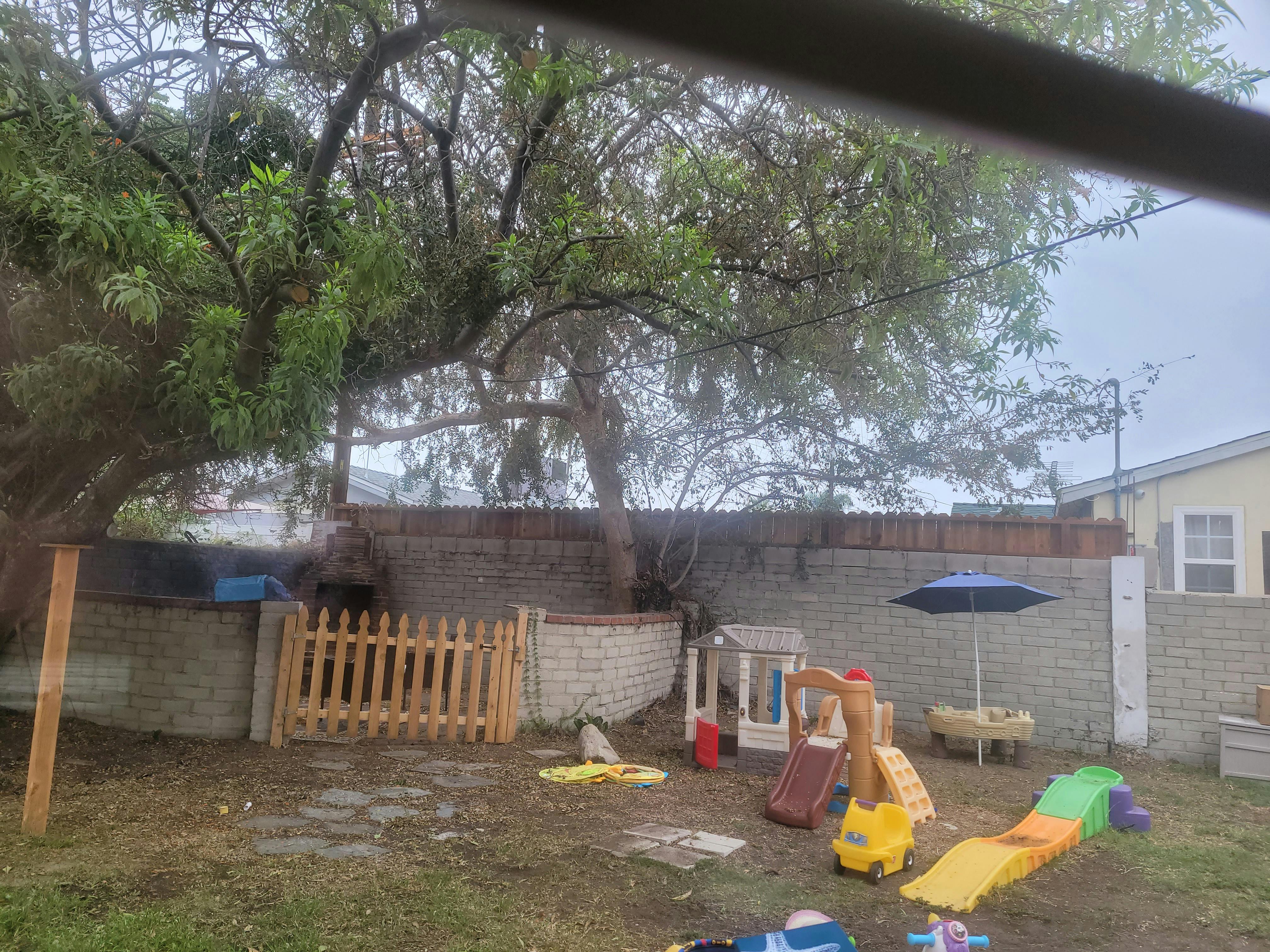 Backyard with children's play equipment and a wooden fence