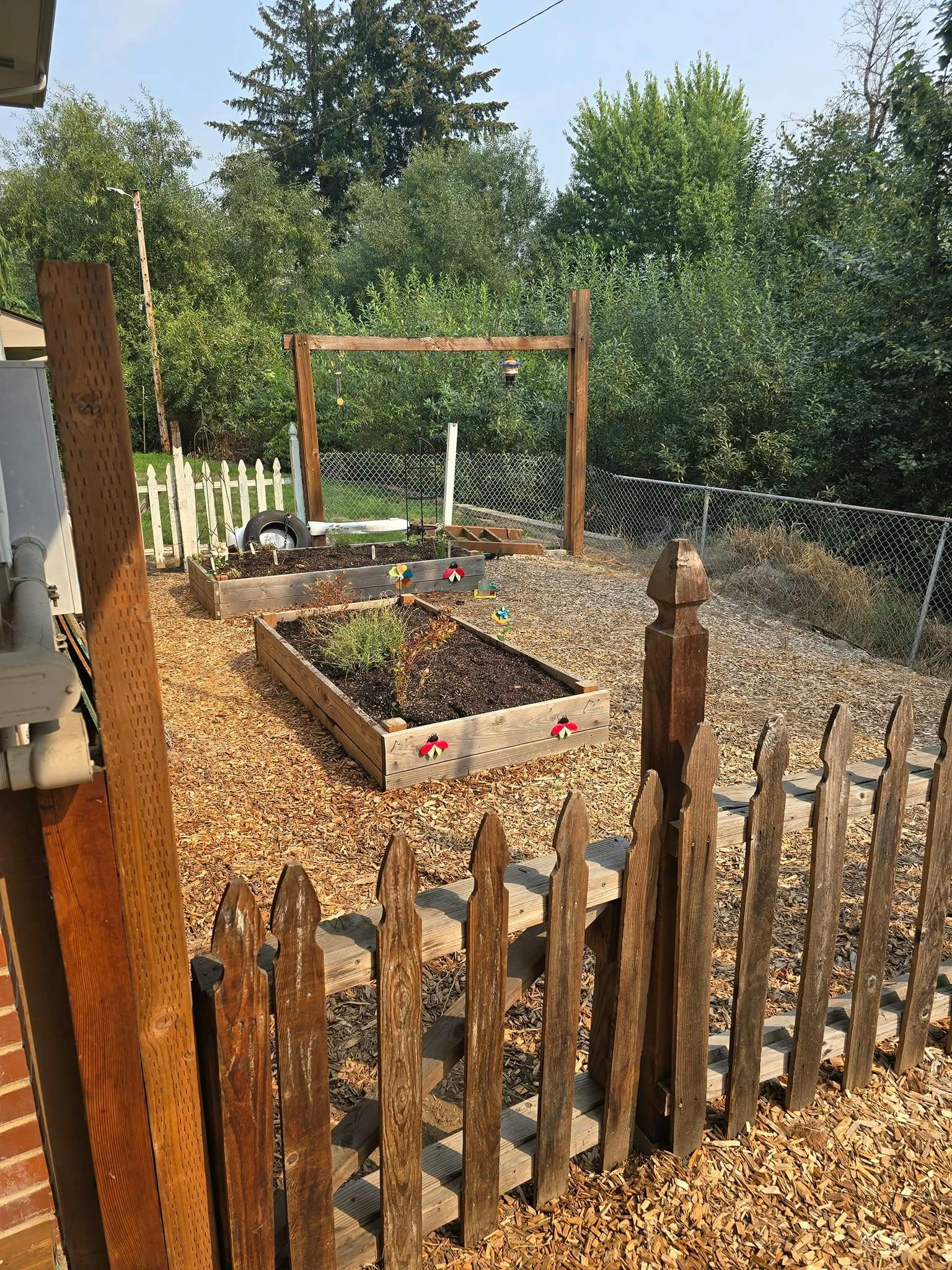 Raised garden beds with wood chip ground cover and a wooden fence